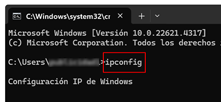 Consola de Windows con Configuración de IP.